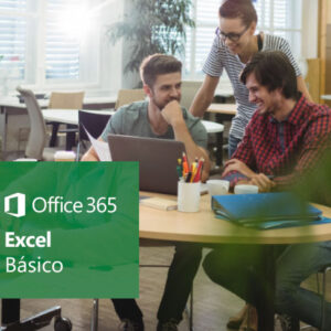 MS Excel 365, nivel básico
