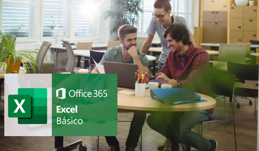 MS Excel 365, nivel básico